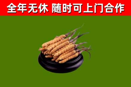 昌江烟酒回收冬虫夏草.jpg