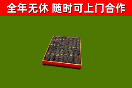 昌江烟酒回收海参.jpg